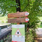 In der warmen Jahreszeit sollte man sich vor Zecken in Acht nehmen