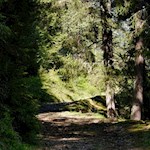 Im Wechselspiel von Licht und Schatten