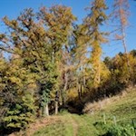 Anstieg in Richtung Signat