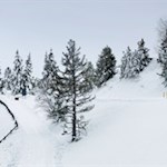 Am Beginn der Rodelbahn Würzjoch