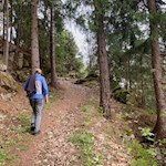 Anstieg durch den Wald nach Hofern