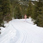 Sanft schlängelt sich der Winterwanderweg zur Halslhütte