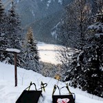 Rodeln von der Hofstatt Alm