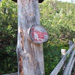 Die Hälfte des Weges ist bereits geschafft...