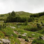 Durch die blumenreichen Bergwiesen auf den Strudelkopf