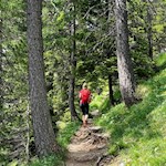 Durch lichten Wald in RIchtung Paolina Hütte 
