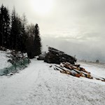 "Ach, die bleiche Sonne Wintersonne! Sie ist traurig wie eine glückliche Erinnerung." (G. Flaubert)