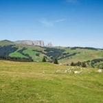 La nostra vista spazia sull'ampia Alpe di Siusi e sull'imponente Sciliar alle sue spalle