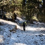 Über Stock und über Stein auf den Lutterkopf