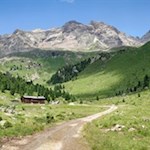 Von der Oberwanger Alm führt ein breiter Wanderweg zur Huber Alm