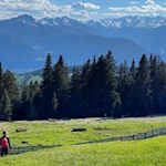 Der Rückweg von der Vöraner Alm erfolgt auf dem Hinweg