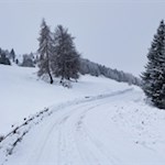 Leichte Winterwanderung auf der Seiser Alm