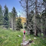 Durch den Wald zum Totenkirchl