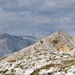 Auch die Steinböcke laben sich am prächtigen Panorama auf dem Col Bechei