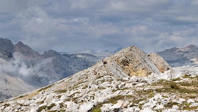 Auch die Steinböcke laben sich am prächtigen Panorama auf dem Col Bechei