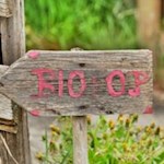 Auf-dem-Weg-zum-Pirchner-Moos