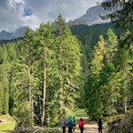 Wanderung zur Epircher Laner Alm