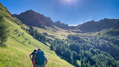 Über malerische Bergwiesenhänge auf die Seefeldspitze