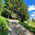 Zunächst folgt die Wanderung breiten Wegen