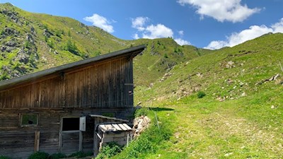 Pichlerbergalm unterhalb des Pfunderer Höhenwegs