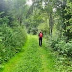 Auf dem Rückweg nach Lüsen