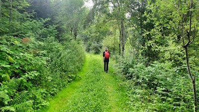 Auf dem Rückweg nach Lüsen