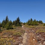 Über abgeschiedene Heidehänge auf das Stoanamandl