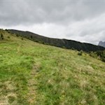 Durch aussichtsreiche Bergwiesen zur Rossalm
