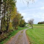 Sanft säuselt der Herbstwind durch die herbstbunten Blätter