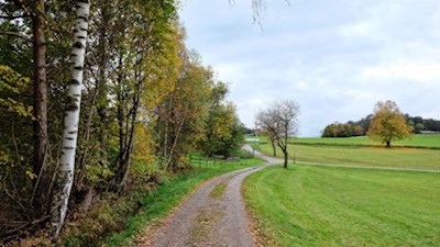 Sanft säuselt der Herbstwind durch die herbstbunten Blätter