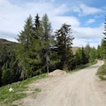 Den Rückweg von der Kreuzwiesenalm kann man auch auf dem breiten Wanderweg antreten