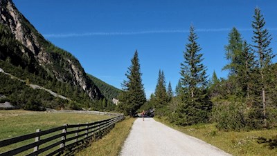 Der Weg nahe der Hütte