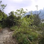 Abfahrt vom Monte Brione mit dem MTB