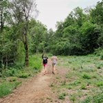 Around the Rocca di Manerba thrives a vegetation rich in species