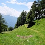 Der Rückweg führt durch Wiesen und lichte Waldhänge