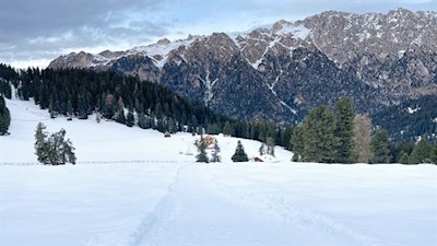 Von der Glatschalm führt ein Wanderweg zum nahen Adolf Munkel Weg