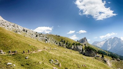 Auf dem landschaftlich reizvollen Friedrich-August-Weg