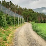 Zunächst folgen wir der Stegerbühel Runde