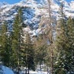 Sanft steigt der Weg zur Dreischusterhütte an