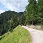 Der breite Wanderweg zur Leach- und Schäferalm ist ideal für Ausflüge mit dem Kinderwagen