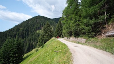 Der breite Wanderweg zur Leach- und Schäferalm ist ideal für Ausflüge mit dem Kinderwagen