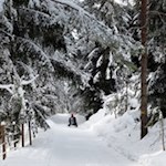 Rodelspaß vom Hofer Alpl