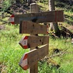 Der links abzweigende Weg führt zur Tarscher, der rechts abzweigende zur Latscher Alm