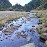 Der Aglsboden wird von einigen Wasserläufen durchzogen