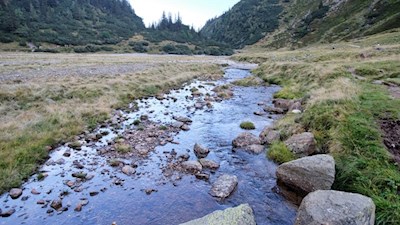 Der Aglsboden wird von einigen Wasserläufen durchzogen