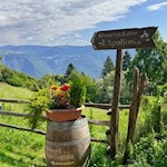 Das Restaurant Apollonia verlockt zur sinnenfrohen Einkehr