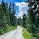 Auf dem breiten Wanderweg von der Kalcheralm zurück zum Parkplatz