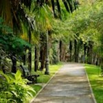 Das Arboretum, ein Refugium mitten in Arco