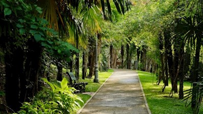 Das Arboretum, ein Refugium mitten in Arco