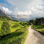 Der Weg Nr. 42 führt durch eine idyllische Almlandschaft